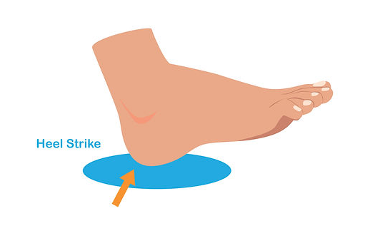 diagram of foot showing heel strike